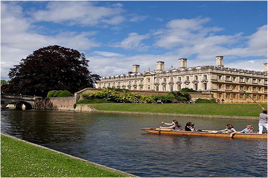 Core & Specialized Courses